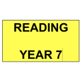 2016-2021 NAPLAN Interactive Tests Reading Year 7